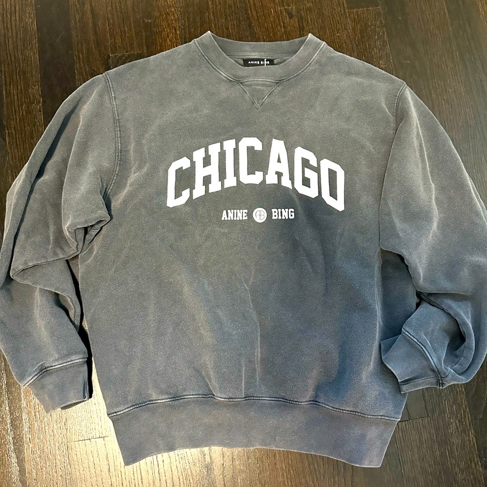 ANINE BING Ramona Sweatshirt “Chicago” exclusive- RARE- Size small brand new
